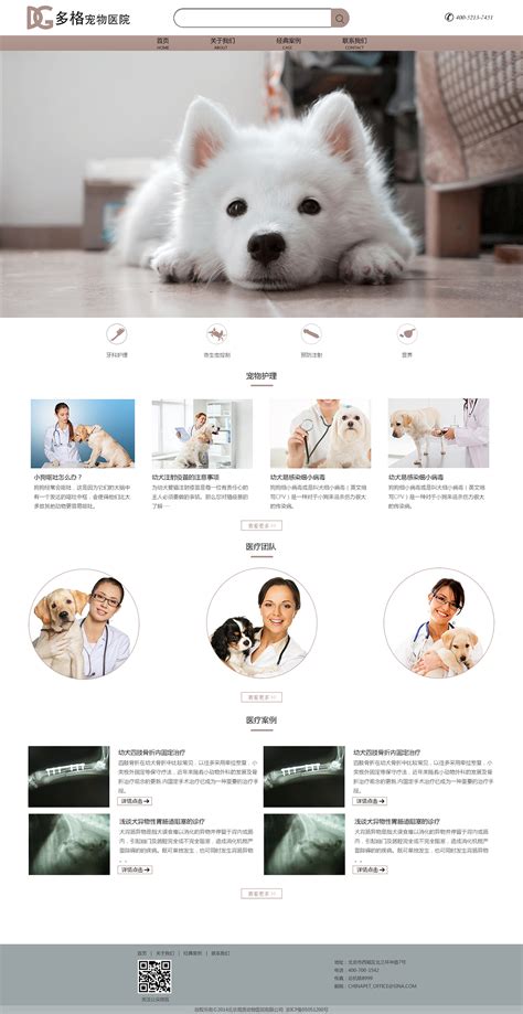 宠物诊所网站设计
