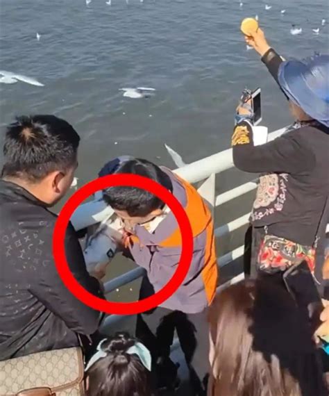 家长带小孩抓海鸥被制止