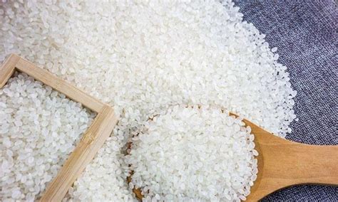 密封的大米可以存放多久