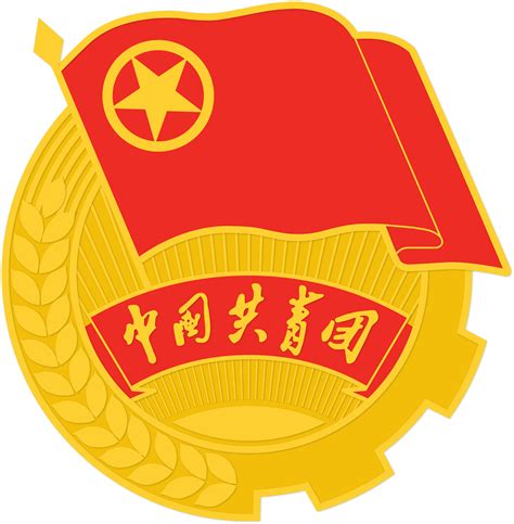 对中国共产主义青年团的认识