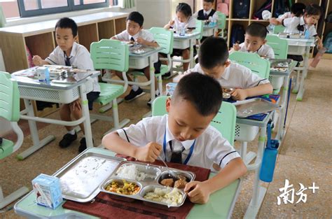 小学生中餐食谱学校