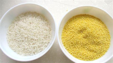 小米和大米的营养区别