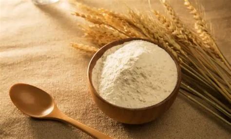 小麦的谷蛋白含量