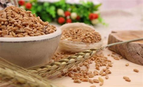 小麦蛋白就是麸质吗
