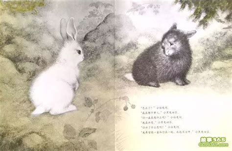 小黑兔和小白兔起什么名字好听