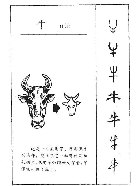 属牛的起名叫阳字可以吗