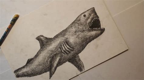 巨齿鲨怎么画