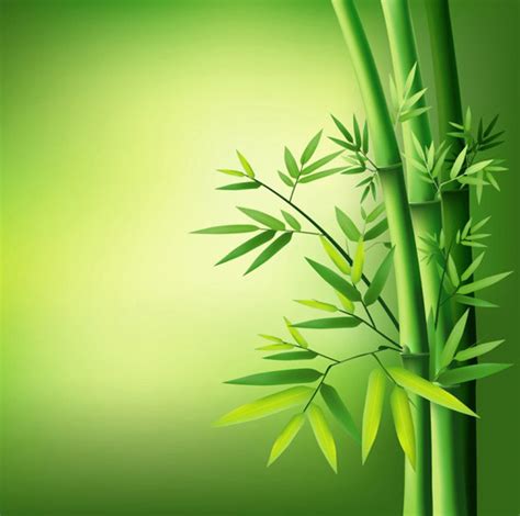 带竹子的图片的微信头像