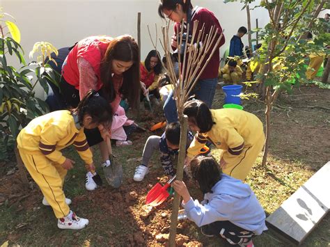 幼儿园大班植树节创意活动