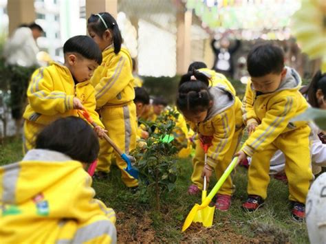 幼儿园植树创意活动