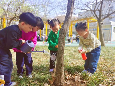 幼儿园植树节主题活动邀请