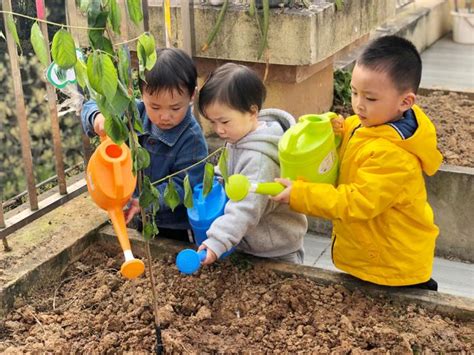 幼儿园植树节活动创意活动方案