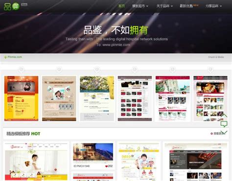 广东湛江怎么建网站模板