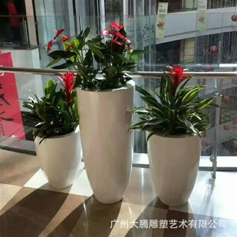 广东玻璃钢花盆厂家直销