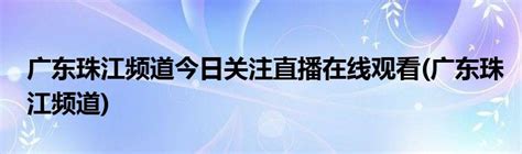 广东珠江频道直播在线观看