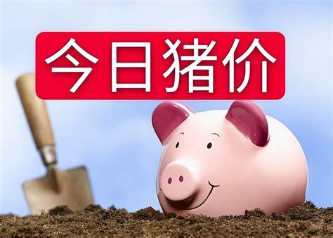 广元未来15天猪价