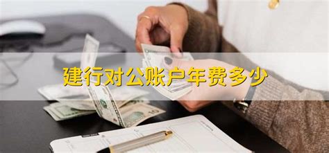 广州企业对公账户年费多少
