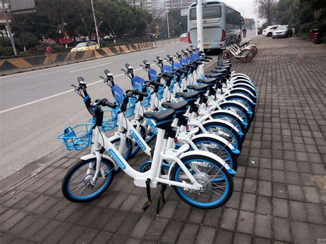 广州哪里有租自行车游玩