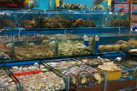 广州开餐饮店的卖海鲜的工资多少