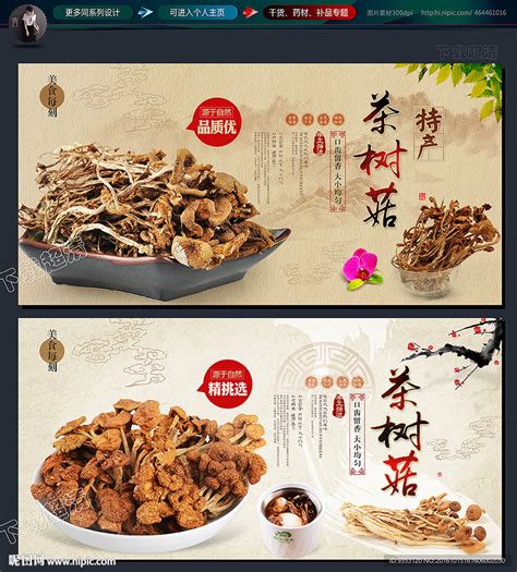 广昌茶树菇广告语