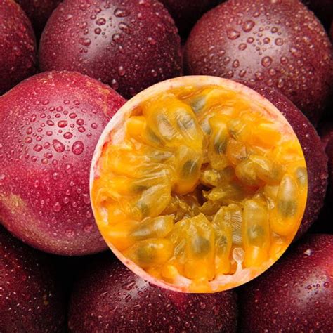 广西每月特产水果