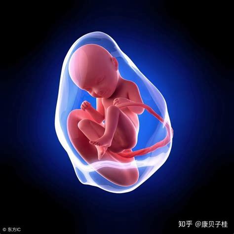 异形在孕妇肚子里产卵出生
