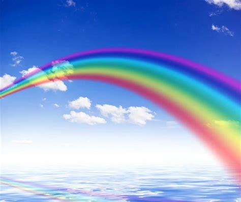 彩虹是由哪七种颜色组成的