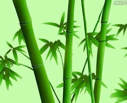 微信头像有竹子好吗