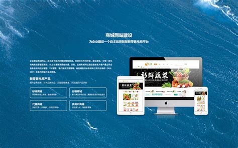 忻州网站建设商城推广