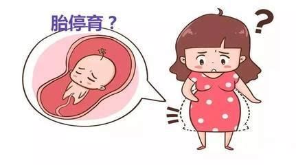 怀孕多少周会出现胎停育