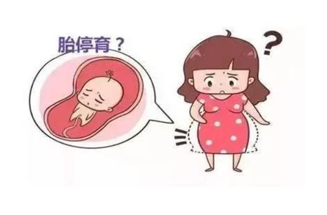 怀孕多少周内容易胎停
