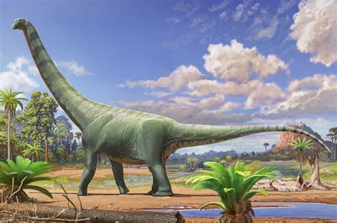 恐龙世界体型巨大的恐龙
