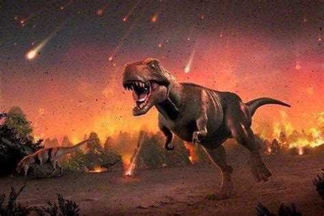 恐龙已灭绝的时代