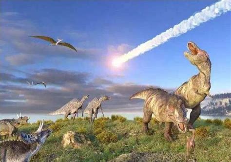 恐龙灭绝到人类诞生