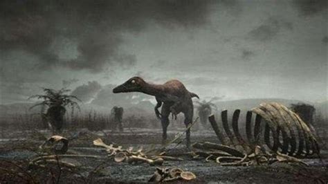 恐龙灭绝后的空白期