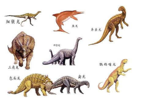 恐龙种类名字图片大全