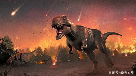 恐龙究竟灭绝了吗
