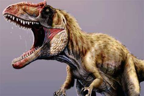 恐龙谁的牙齿最厉害