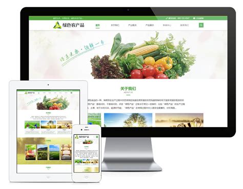 惠农区农产品网站优化
