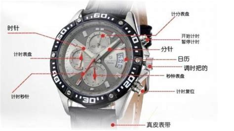 手表上wed是什么意思中文