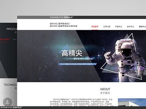 扬中网站设计服务