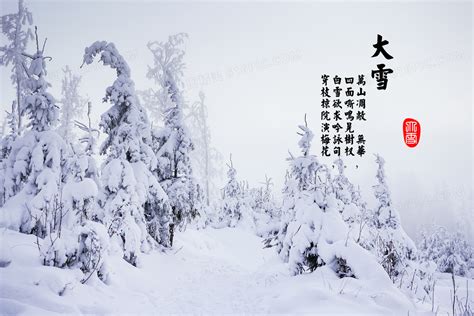 描写雪景的四字成语
