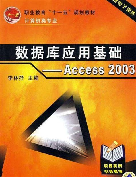 数据库应用基础access2003