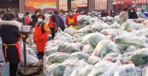 数百工人分装2000吨蔬菜发往西安