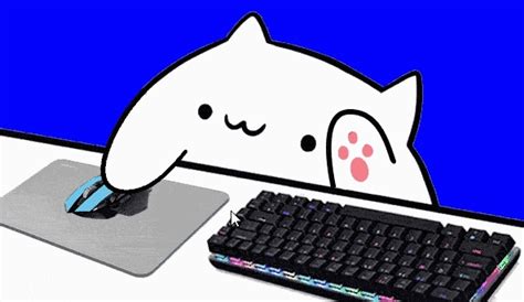 敲键盘的猫软件