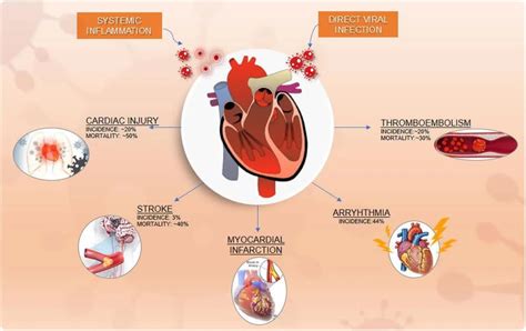 新冠病毒对心脏的影响