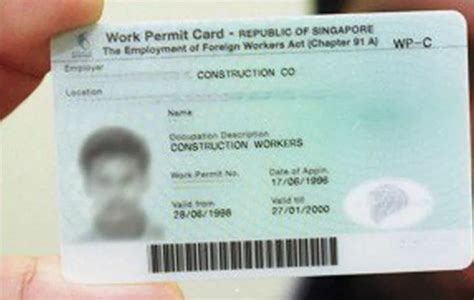 新加坡工作证类型