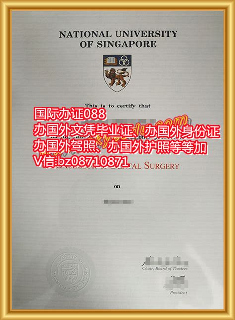 新加坡留学毕业证样本