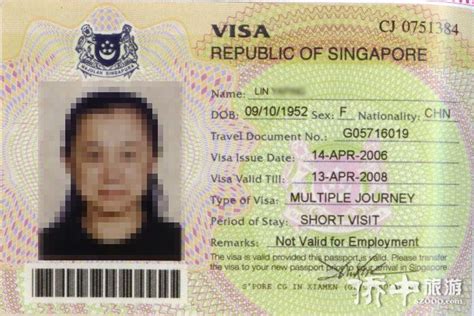 新加坡2年工作签证多少钱