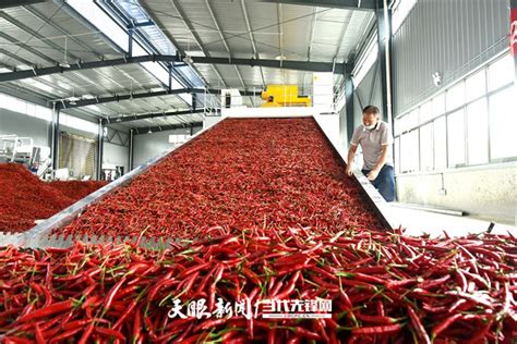 新和县辣椒加工厂